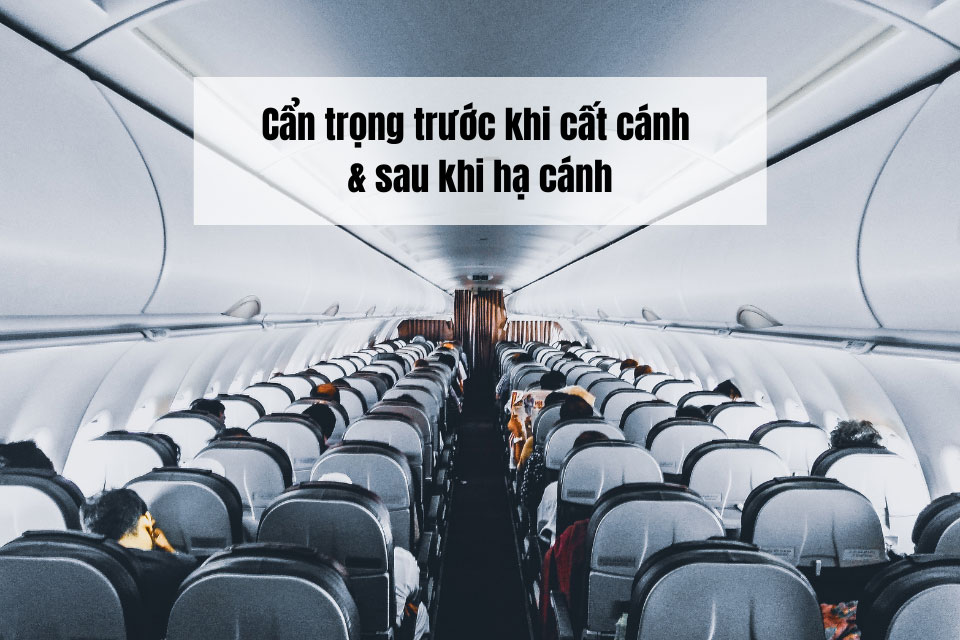 Can trong khi cat canh va ha canh